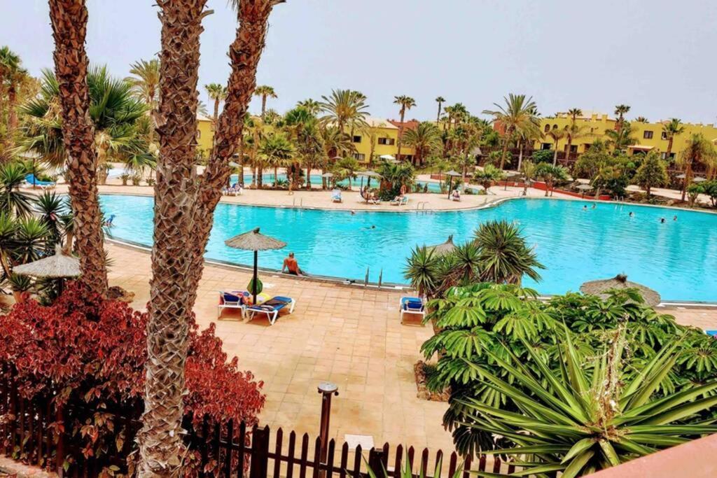 Tamarindo 28, Pool Front,Free Wifi Apartment Corralejo Bagian luar foto